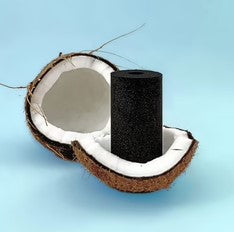 Why coconut is the best activated carbon water filter