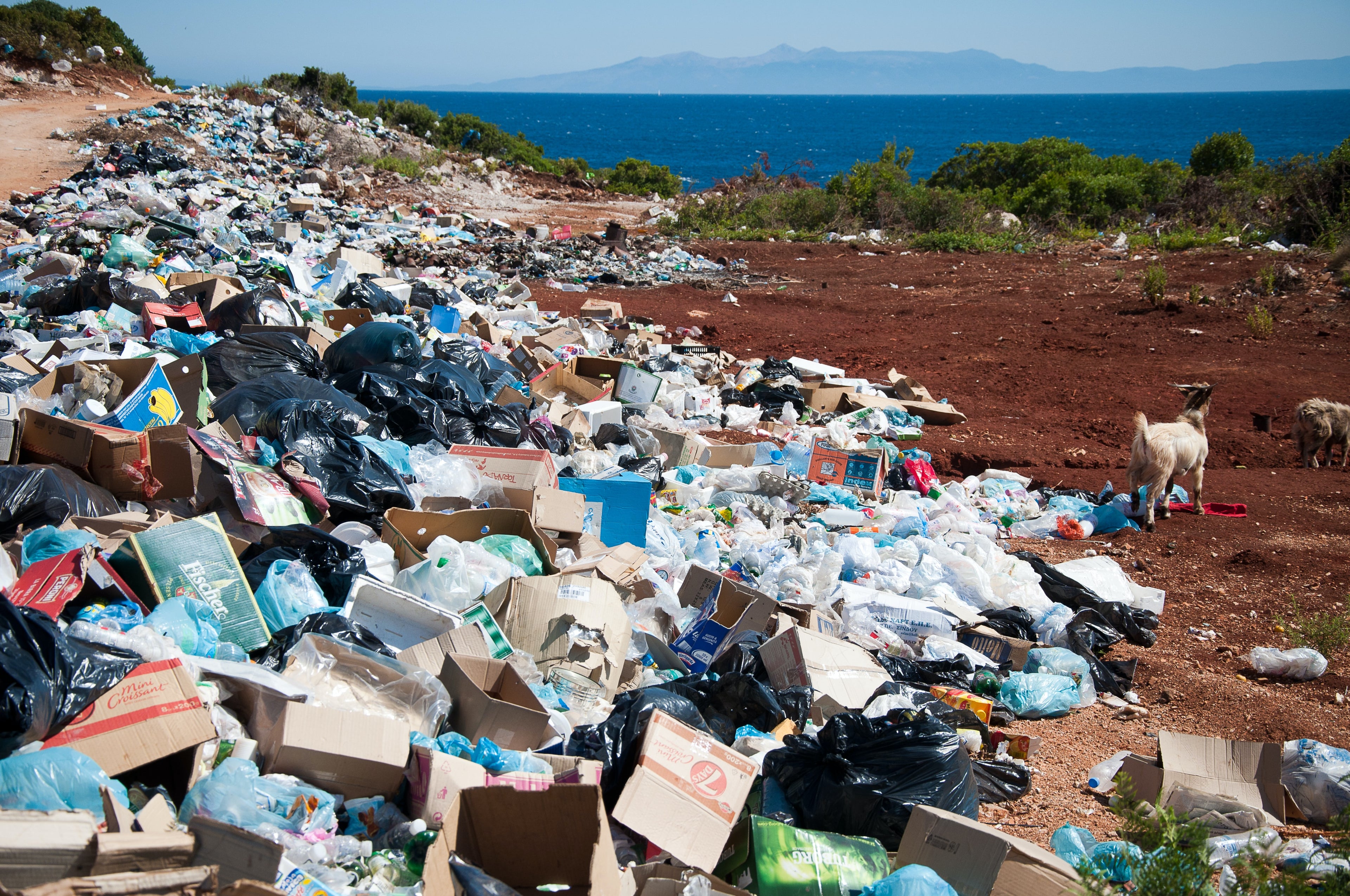 POLLAST!C Our choice of environmentally sustainable packaging in Malta