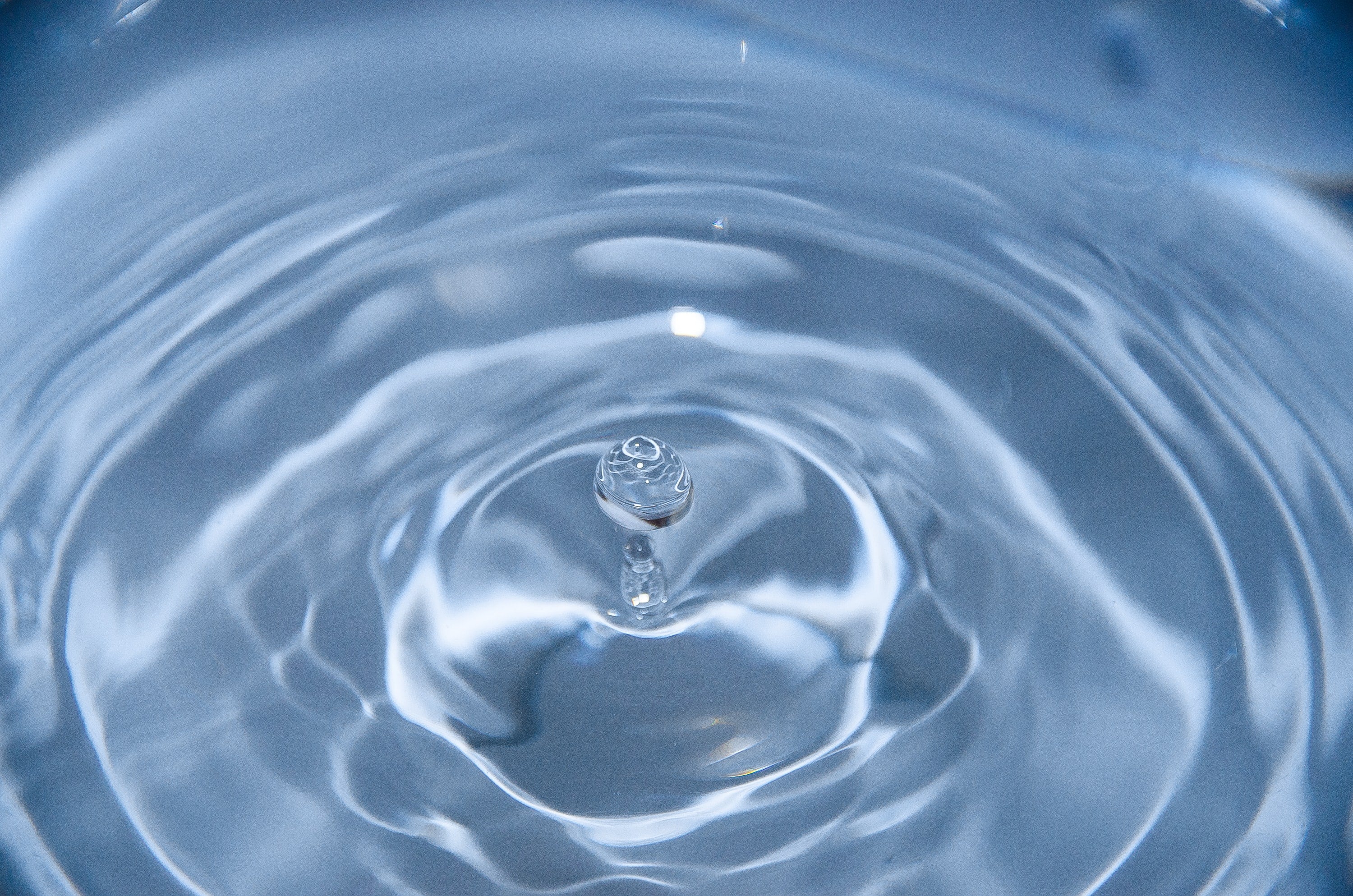 How water filters work
