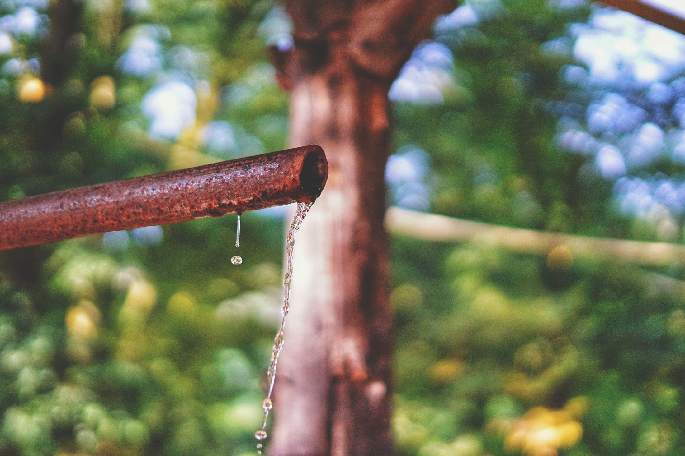 Can a water filter remove heavy metals in Malta? TAPP Water (Malta) Ltd