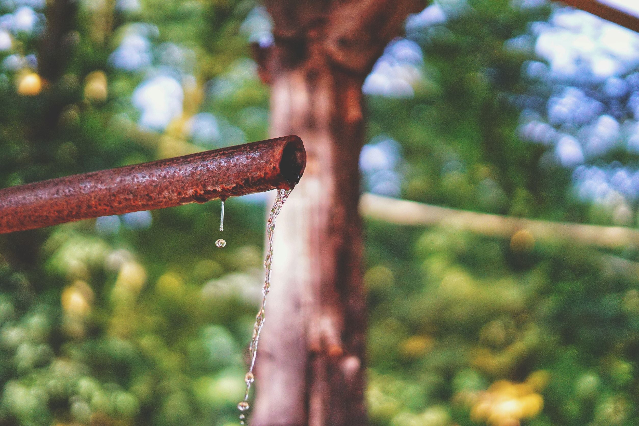 Can a water filter remove heavy metals in Malta?