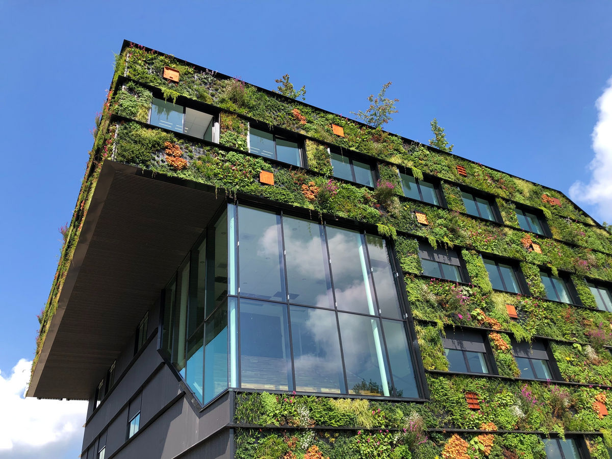 The plastic free office in Malta - is it possible?