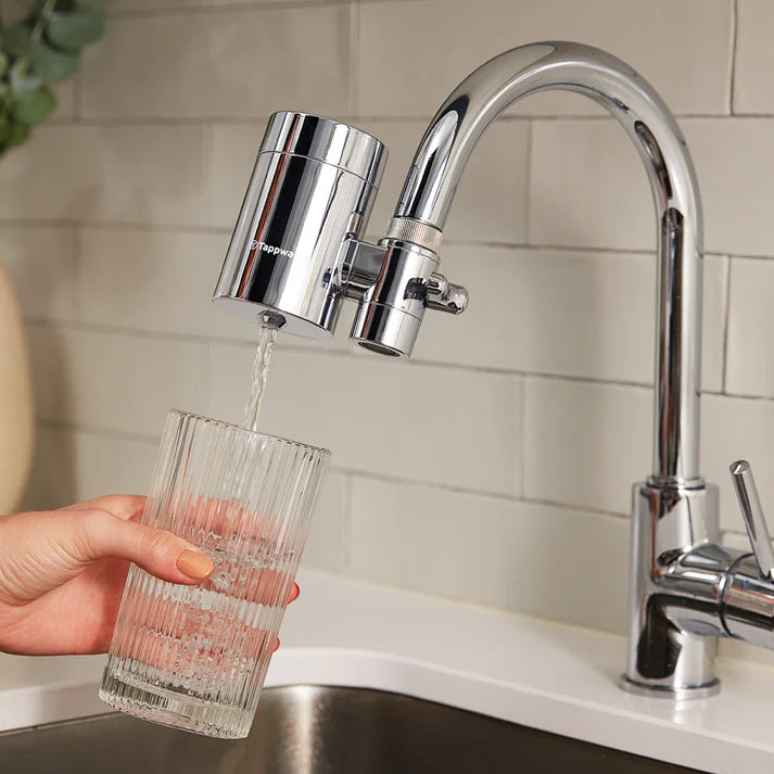 EcoPro Chrome SMR